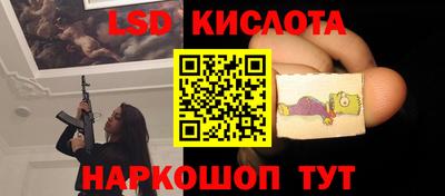 стафф Дубна