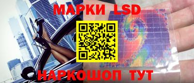 стафф Дубна