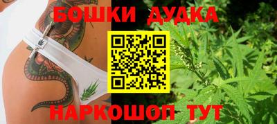 стафф Дубна